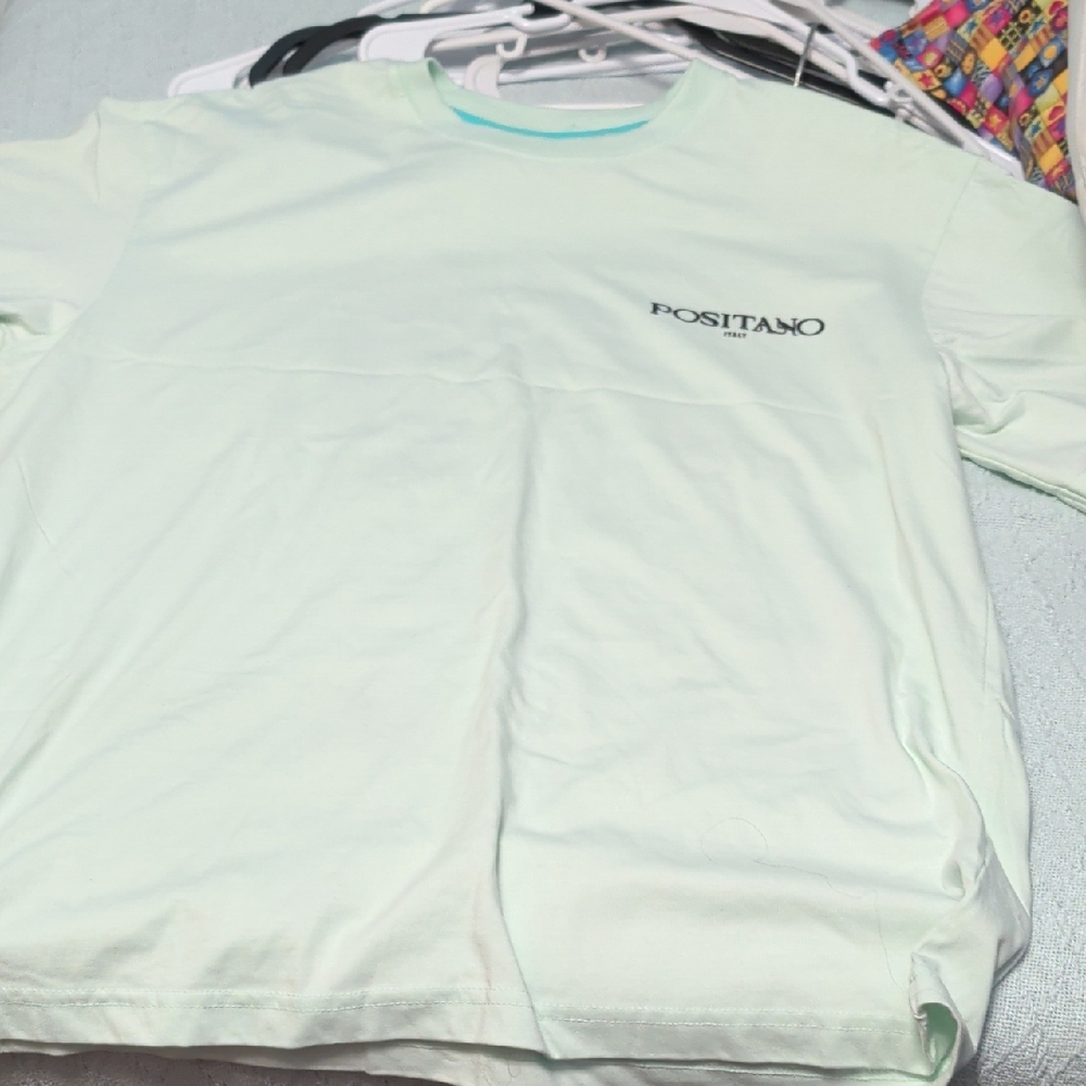 Positano Men’s Short Sleeve Crew Tee in Pale Mint